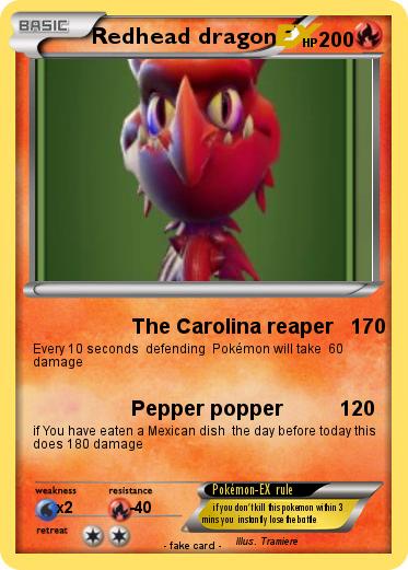 Pokemon Redhead dragon