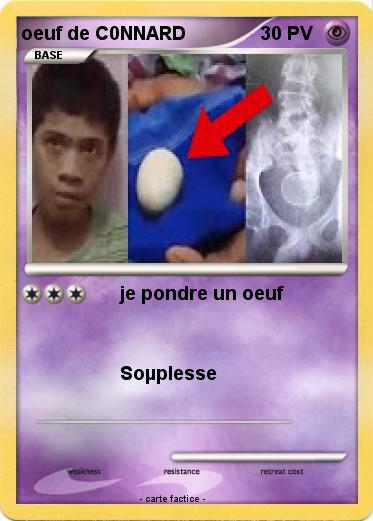 Pokemon oeuf de C0NNARD