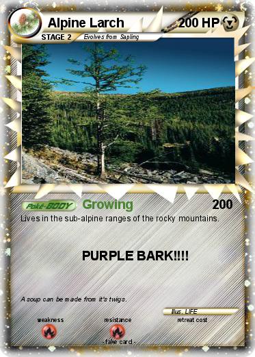 Pokemon Alpine Larch
