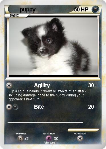 Pokemon puppy