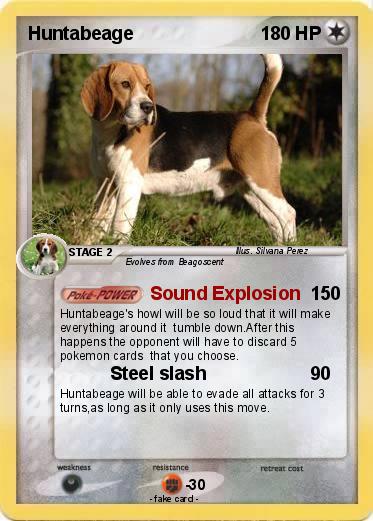 Pokemon Huntabeage