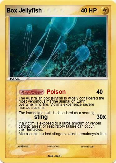 Pokemon Box Jellyfish