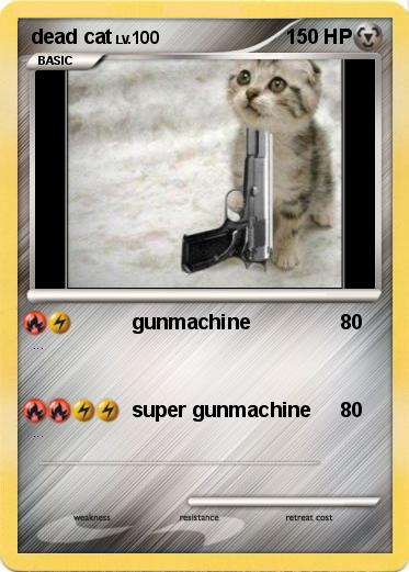 Pokemon dead cat