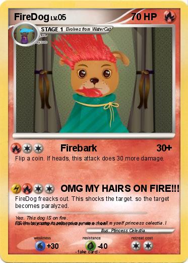 Pokemon FireDog