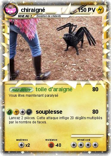 Pokemon chiraigné