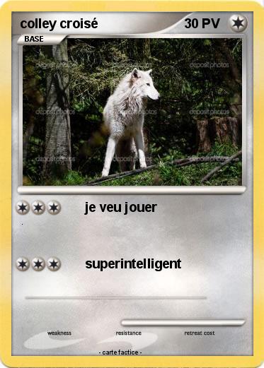 Pokemon colley croisé