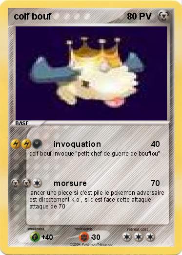 Pokemon coif bouf                            