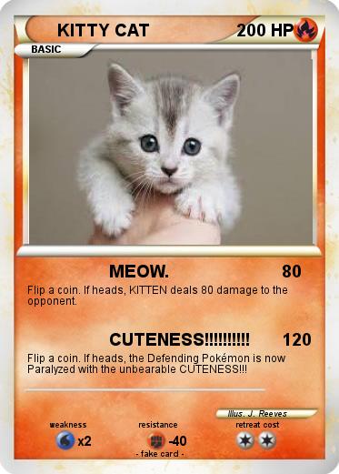 Pokemon KITTY CAT