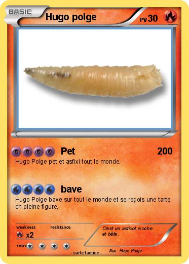 Pokemon Hugo polge