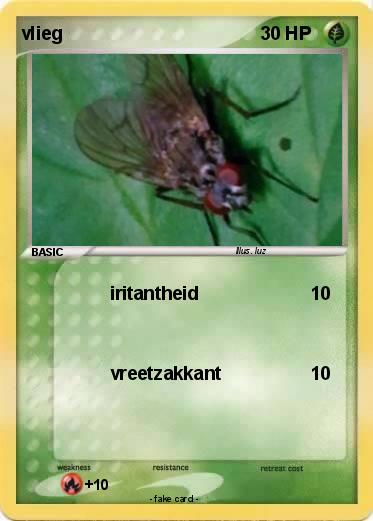 Pokemon vlieg
