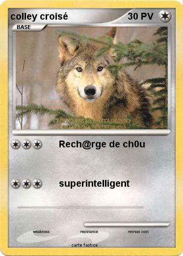 Pokemon colley croisé