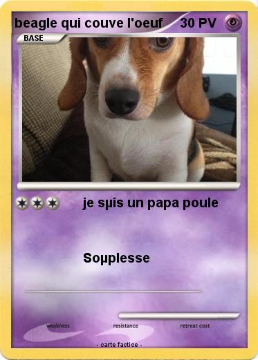 Pokemon beagle qui couve l'oeuf