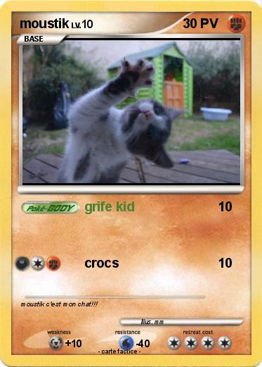 Pokemon moustik