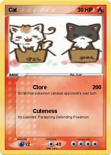 Pokemon Cat