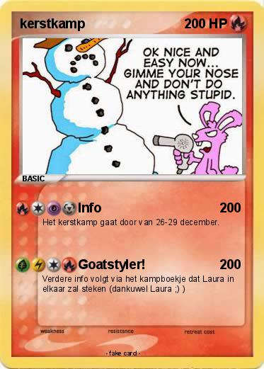Pokemon kerstkamp