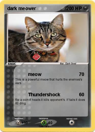 Pokemon dark meower