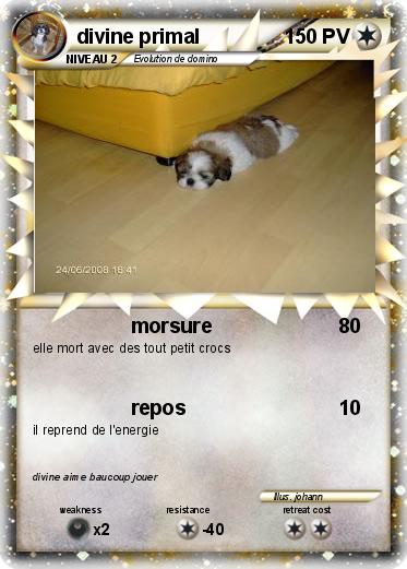 Pokemon divine primal