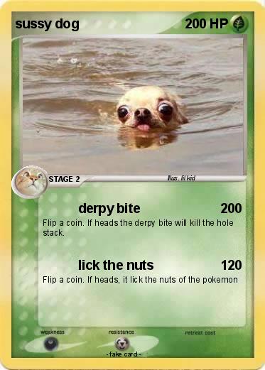 Pokemon sussy dog