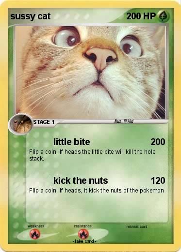 Pokemon sussy cat