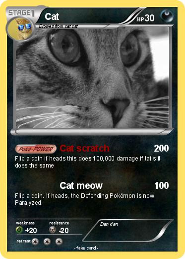 Pokemon Cat