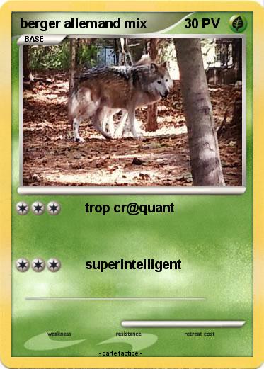 Pokemon berger allemand mix