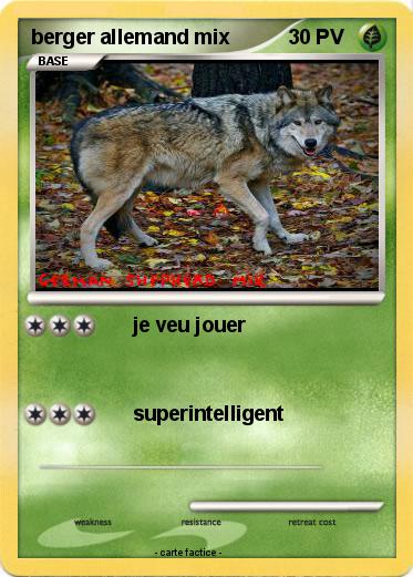 Pokemon berger allemand mix