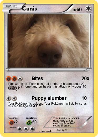 Pokemon Canis