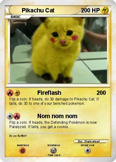 Pokemon Pikachu Cat
