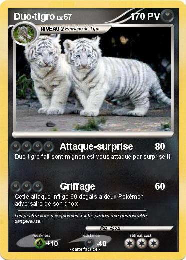 Pokemon Duo-tigro