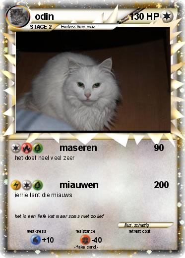Pokemon odin