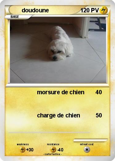 Pokemon doudoune