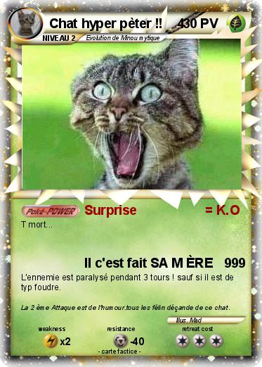 Pokemon Chat hyper pèter !!    4