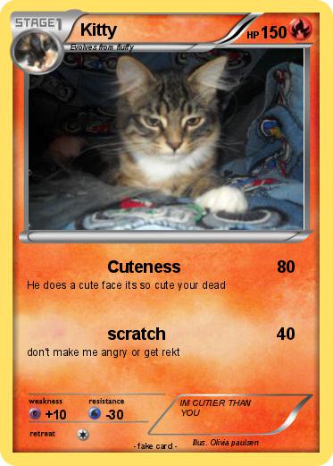 Pokemon Kitty
