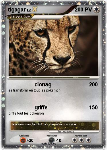 Pokemon tigagar