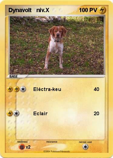 Pokemon Dynavolt   niv.X