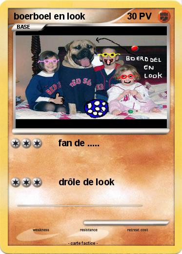 Pokemon boerboel en look