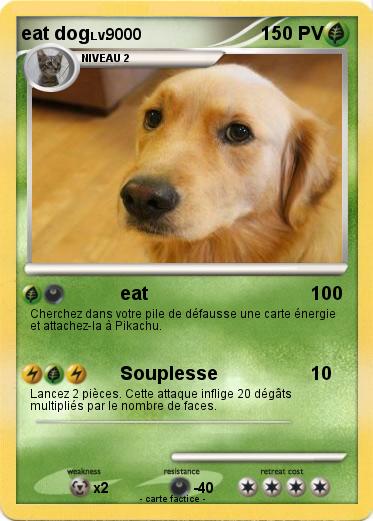 Pokemon eat dog