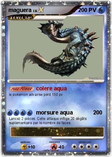 Pokemon maguera