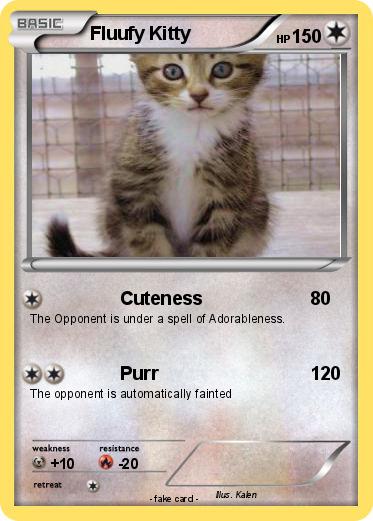 Pokemon Fluufy Kitty