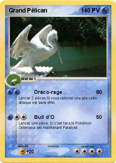 Pokemon Grand Pélican 