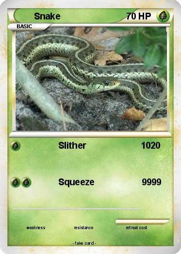 Pokemon Snake