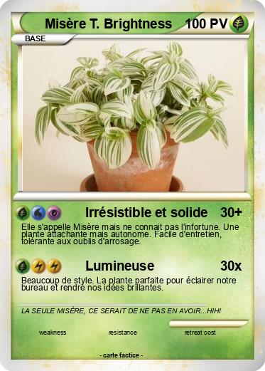Pokemon Misère T. Brightness