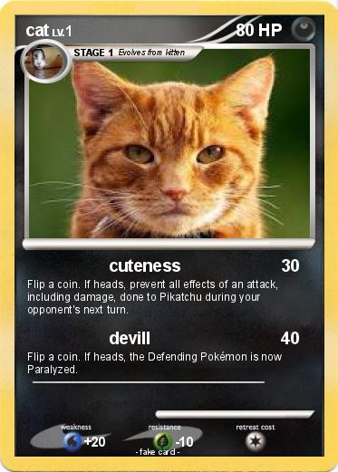 Pokemon cat