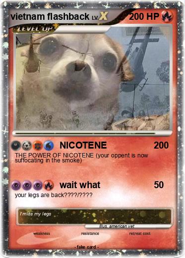 Pokemon vietnam flashback