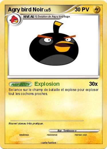 Pokemon Agry bird Noir
