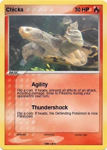 Pokemon Chicka