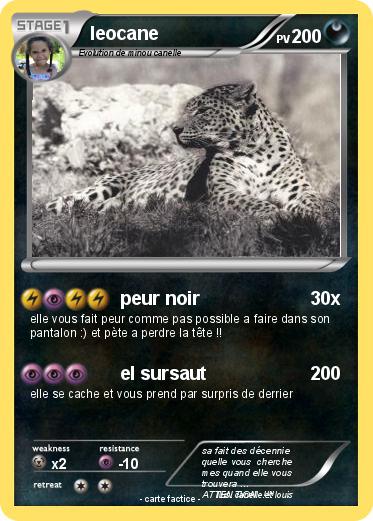 Pokemon leocane