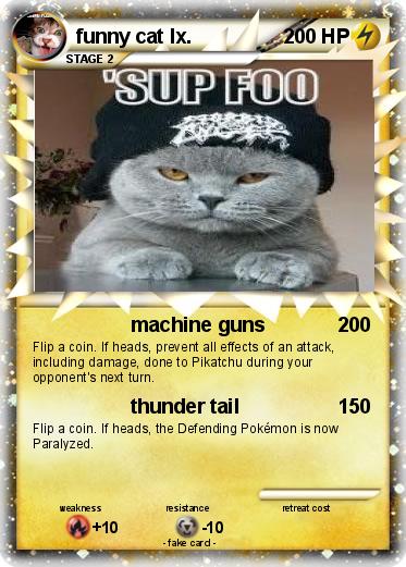 Pokemon funny cat lx.