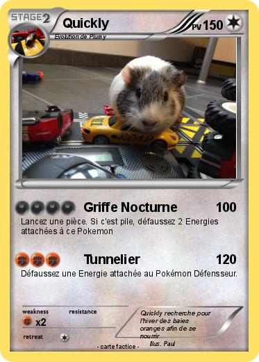 Pokemon Quickly