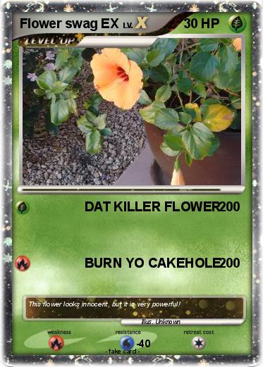Pokemon Flower swag EX